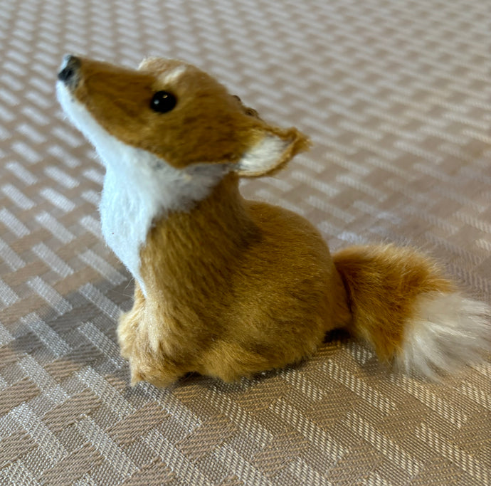 Fox, sitting